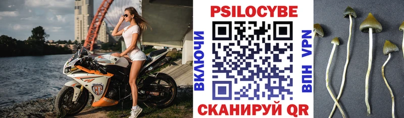 Псилоцибиновые грибы Psilocybe  наркотики  кракен ONION  Ленск 
